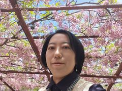 -嘉定紫藤园