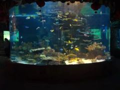 -左海海底世界