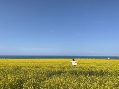 -青海湖国家重点风景名胜区