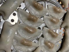 -汕尾菜粿(向西老店)