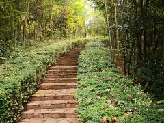 -天目湖涵田度假村