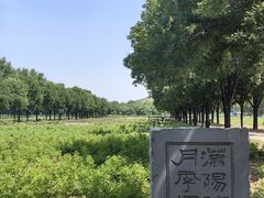 -汉景帝阳陵博物院