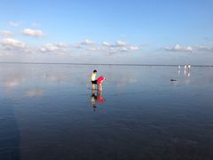 -南汇嘴观海公园