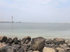 -吴淞炮台湾湿地森林公园烧烤区