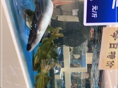 -双井轩(双井店)