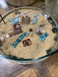 点击看大图 -卡通尼·Safari非洲探索乐园·生日会(金桥国际商业广场店)