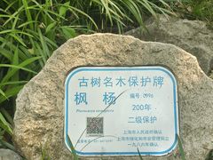 -汇龙潭