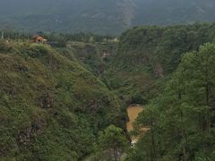 -莫里热带雨林景区