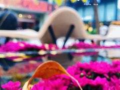 -三里屯东五街银杏大道