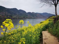 -新安江山水画廊风景区