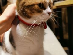 -小时光咖啡馆(开森度假森林店)