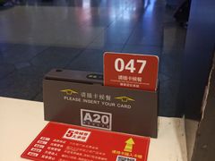 餐具摆设-南城香(北京南站店)