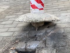 -上海星瀚奔驰4S店(红柳路店)