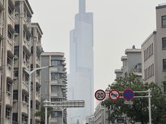 -紫峰大厦
