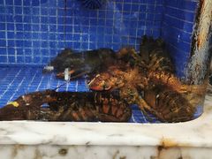 水产区-香山湖渔家大院