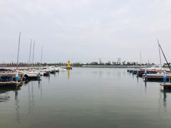 -滴水湖帆船营地