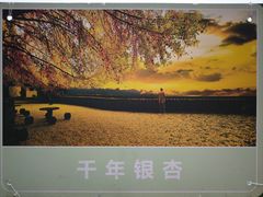 -大慈岩风景区