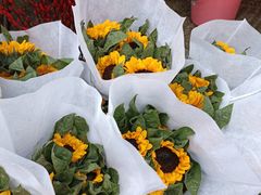 -循礼门鲜花花市(武汉循礼门店)