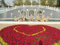 -洛阳郁金香牡丹园