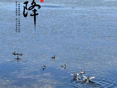 -野鸭湖国家湿地公园