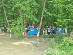 -桤木河湿地公园