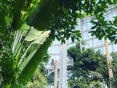 -郑州植物园