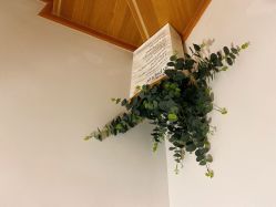 -L•野生眉半永久纹眉纹绣