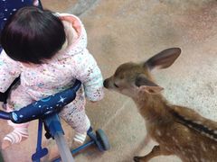 -正佳雨林生态植物园