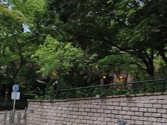 -香港大学
