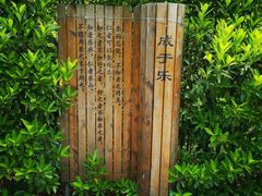 -韩湘水博园