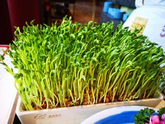 -捞神煲汤火锅(湖滨商业街店)