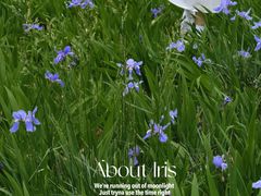 -白鹭湾湿地公园