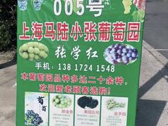 -马陆小张葡萄园农家乐