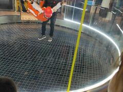 -飞行家太空体验馆(祥云小镇店)