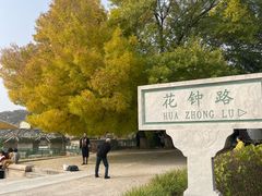 -石家庄市植物园