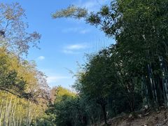 -潜山国家森林公园