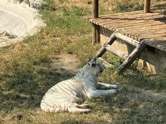 -石家庄市动物园