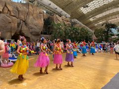 -杭州开元森泊度假乐园