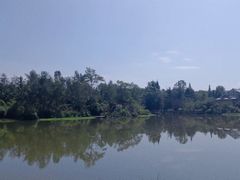 -桤木河湿地公园