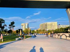 -宝安西湾红树林湿地公园