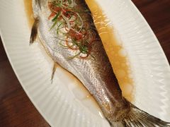 千岛湖大白条-许爷家·生态湖鲜(徐汇日月光店)