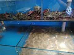 -辣盆盆麻辣小龙虾(哈尔滨总店)