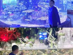 -左海海底世界