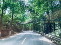 -赤水丹霞旅游区·佛光岩
