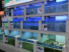 -海市蜃楼花园主题餐厅(石顶店)