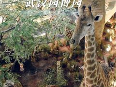 -武汉园博园(武汉自然博物馆)