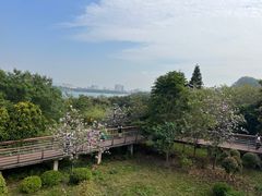 -立新湖公园
