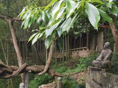 -严子陵钓台(富春江小三峡)