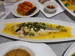 -老绍兴养和饭店(向阳不夜城店)