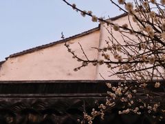 -南翔古镇